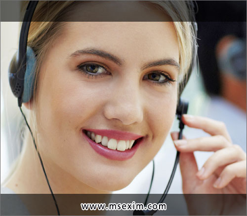 M.S. Exim Services Custom House Agents in Ludhiana Punjab India